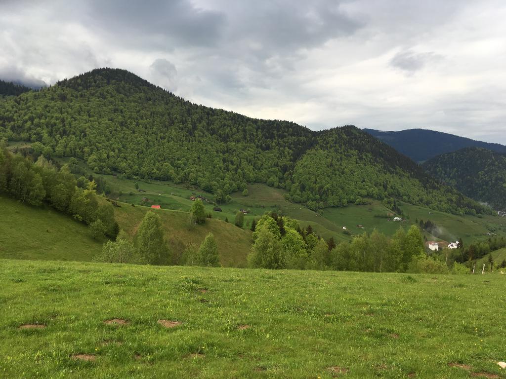 Chalet Ro Peştera Екстериор снимка